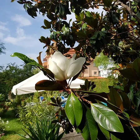 Szálloda Family Magnolia